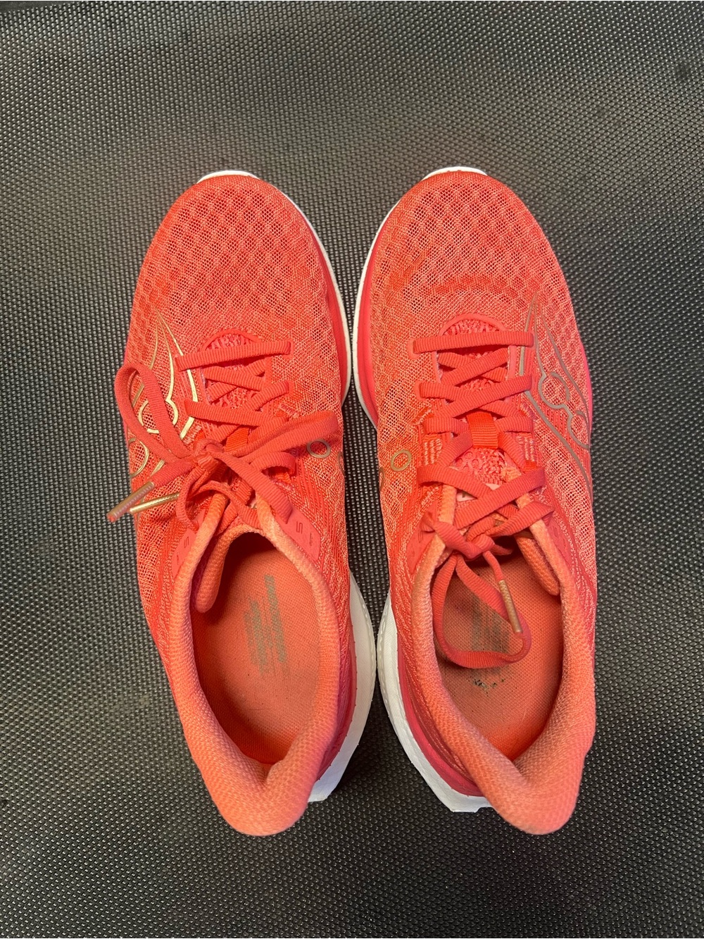 Saucony Coral Endophin 4